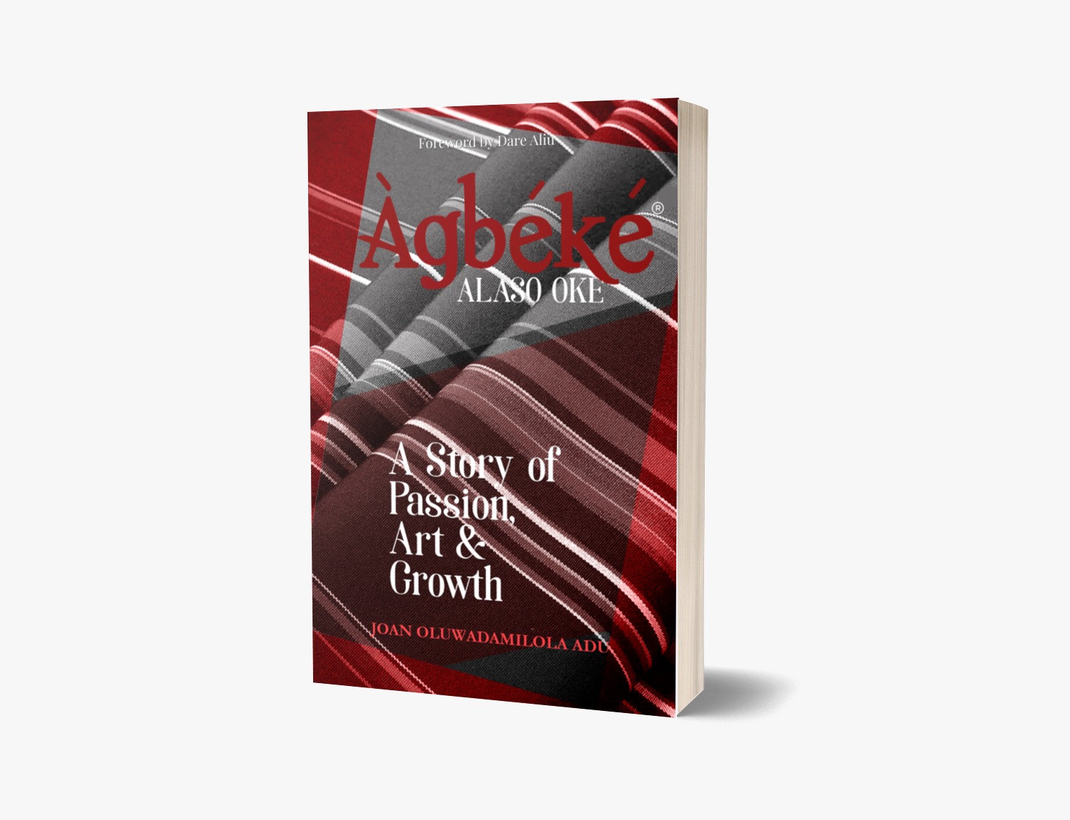 Supplied book mock-up on a light editorial background.